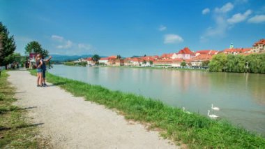 Birkaç güzel kuğu nehirde yüzüyor ve turistler arka planda nehir ve şehrin fotoğraflarını çekiyor..
