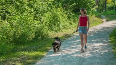 Genç bir kadın köpeğini güzel bir doğa içinde gezdiriyor. Her şey yeşil ve güneş parlıyor..