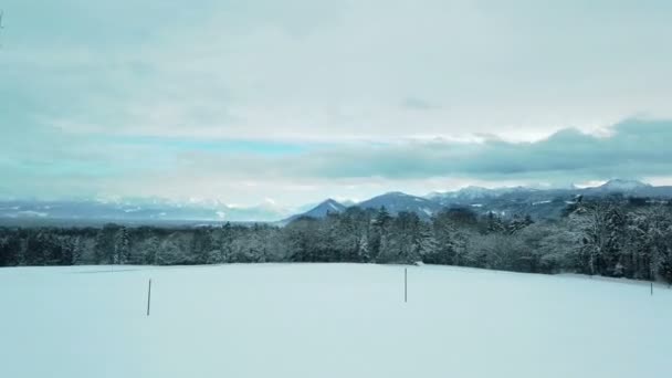 Punkt Materiał Filmowy Piękny Zimowy Krajobraz Samochodu — Wideo stockowe