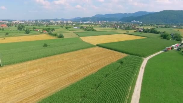 Letecké Záběry Krásného Agro Pole Slunečného Dne — Stock video