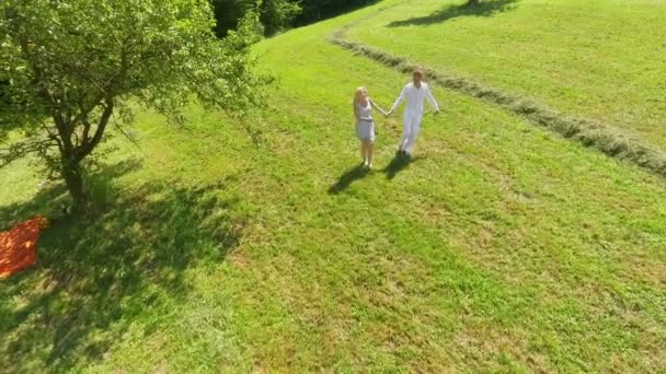 一对年轻夫妇穿着白色的衣服 他们既自由又快乐 一起在割草上跳舞 空中射击 夏天到了 — 图库视频影像