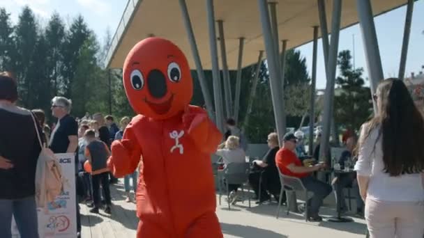 Domzale Slovenia 2018年6月18日一个有趣的红色吉祥物在人群中穿梭 正在招待节日的游客 — 图库视频影像