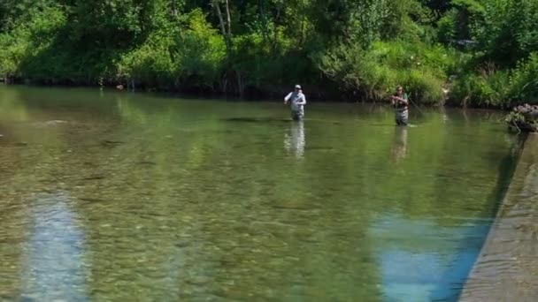 Рыбалка Прекрасный Летний День Двое Рыбаков Стоят Воде Выглядят Собранными — стоковое видео