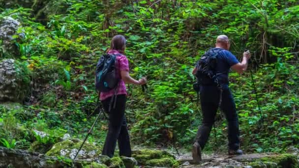 Couple Âge Moyen Marche Sur Sentier Forestier Montée Nature Est — Video