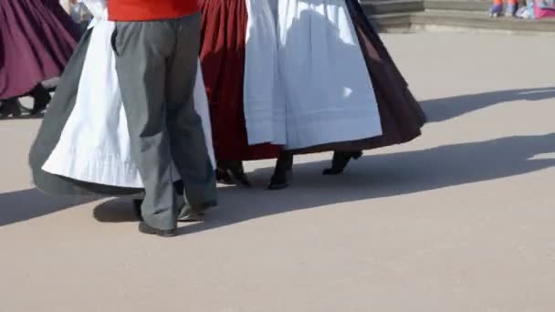 Domzale Slovenia 2018年6月8日几对夫妇正在跳民族舞 他们穿着传统服饰 — 图库视频影像