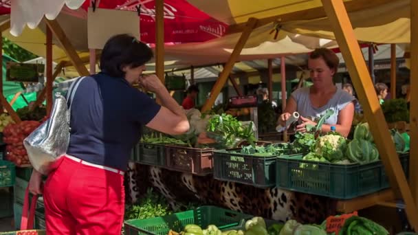 Domzale Eslovénia Julho 2018 Pessoas Que Compram Produtos Agrícolas Frescos — Vídeo de Stock