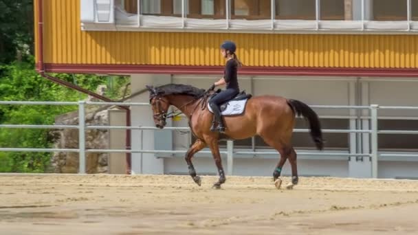 在一个阳光明媚的日子里 一个小女孩正在竞技场上骑着一匹棕色的马 我们也可以看到一些跳的障碍 — 图库视频影像
