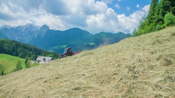 Joven Está Sentado Tractor Prepara Heno Caluroso Día Verano Hay — Vídeos de Stock