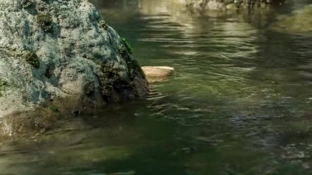 Ένα Μικρό Αντικείμενο Κολυμπά Στην Επιφάνεια Του Ποταμού Άγνωστη Απόσταση — Αρχείο Βίντεο