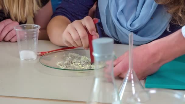 Los Adolescentes Están Haciendo Experimento Una Clase Química Están Muy — Vídeos de Stock