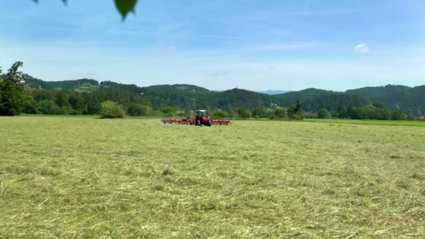 夏天的这一天 大自然是华丽的 一辆蓝色的拖拉机正在准备干草 并在后面拖着巨大的农业机械 — 图库视频影像