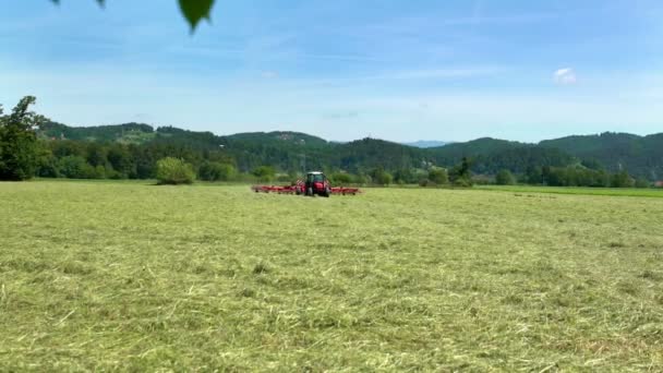 Natureza Linda Neste Dia Verão Azul Tractos Está Preparando Feno — Vídeo de Stock