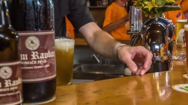 Doemzale Slovenië Juli 2018 Staat Veel Bier Toonbank Barman Heeft — Stockvideo