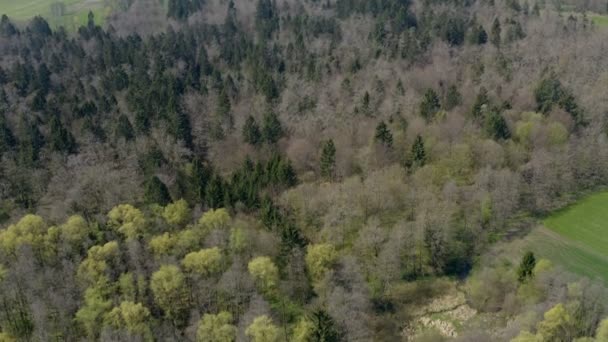 Wintermaanden Zijn Voorbij Bomen Zijn Nog Niet Echt Groen Luchtfoto — Stockvideo