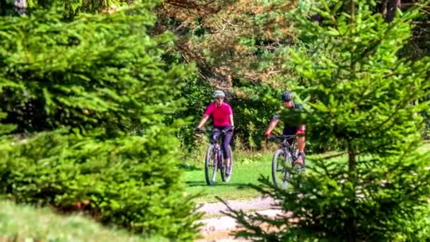 Dwóch Rowerzystów Powoli Jeździ Rowerami Pięknej Zielonej Naturze Pogoda Też — Wideo stockowe