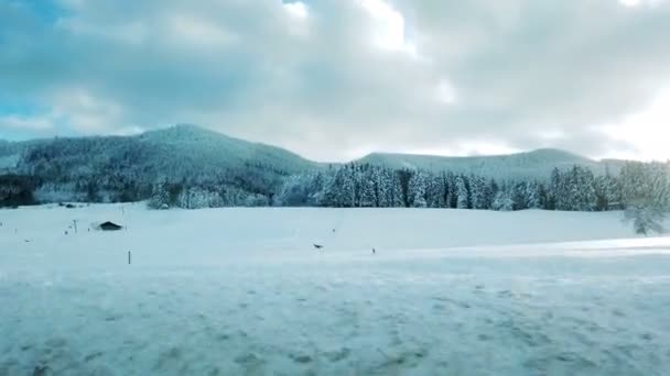 Pov Кадри Красивого Зимового Пейзажу Автомобіля — стокове відео