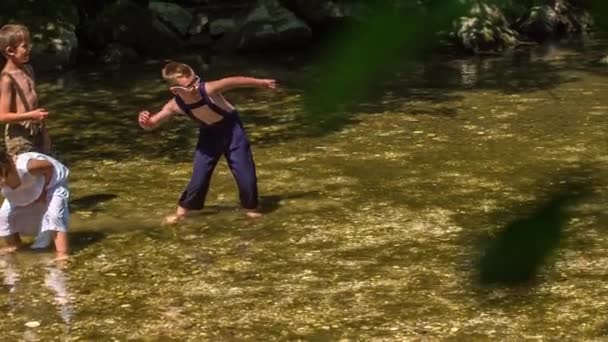 男の子が石を水の中に投げ込んでいる 子供たちはいい天気の日に川で遊んでいます — ストック動画
