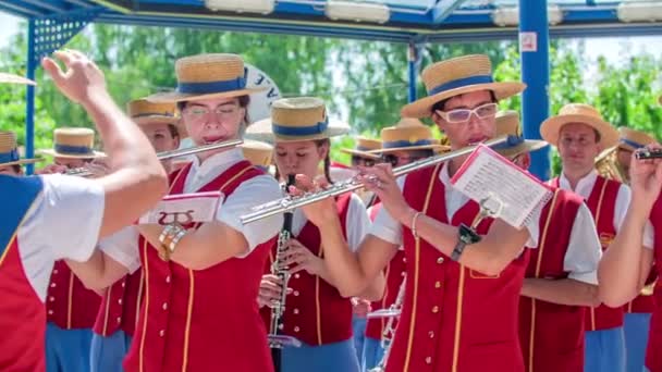 Calm Conductor Leading Brass Band All Playing Instruments According His — Stock Video