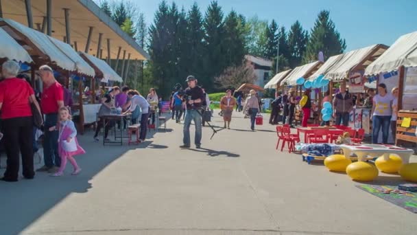 Domzale Slovenia 2018年6月夏の時間帯に開催されます 子供のためのワークショップもあります — ストック動画