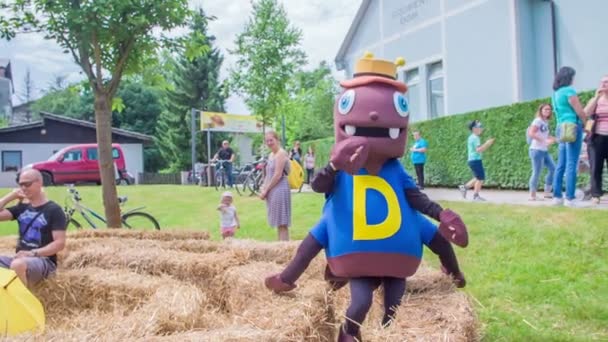 Two People Dressed Cartoon Costumes Entertaining Children Summer Festival — Stock Video