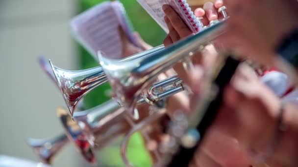 Hay Muchas Trompetas Esta Banda Música Una Banda Está Actuando — Vídeos de Stock