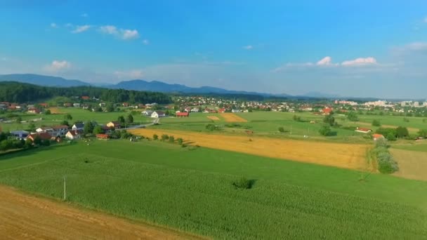 Antenni Kuvamateriaalia Kaunis Maatalouskenttä Aurinkoisena Päivänä — kuvapankkivideo