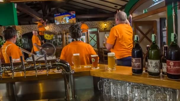Domzale Slowenien Juli 2018 Eine Gruppe Fans Trinkt Viel Bier — Stockvideo