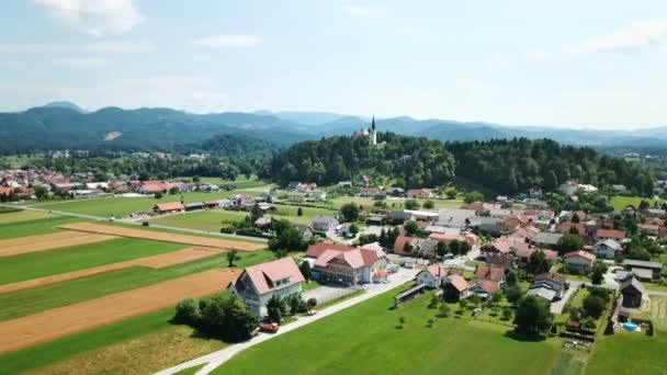 Eslovenia País Hermosos Árboles Verdes Colinas Campos Prados Disparo Aéreo — Vídeo de stock