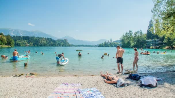 Viele Menschen Amüsieren Sich Wasser Sie Schwimmen Oder Spielen Mit — Stockvideo