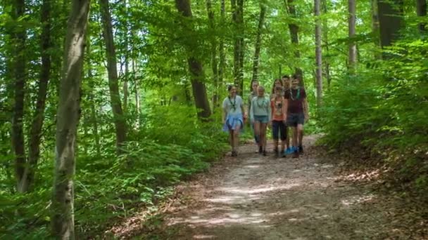 Domzale Slovenia July 2018 Young Scout Team Walking Forest Together — Stock Video