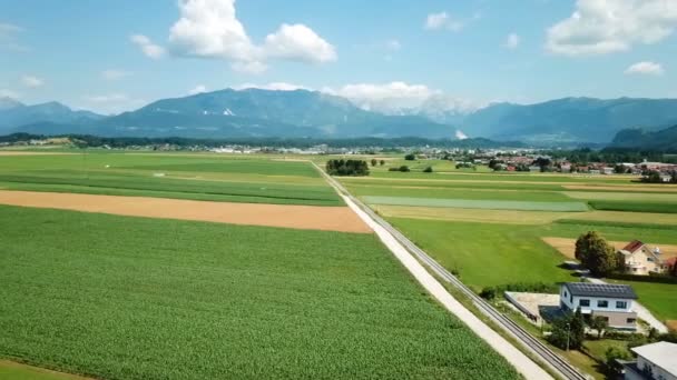 緑豊かな田園地帯の真ん中をまっすぐに走る直線 空中射撃だ その日は素晴らしい — ストック動画