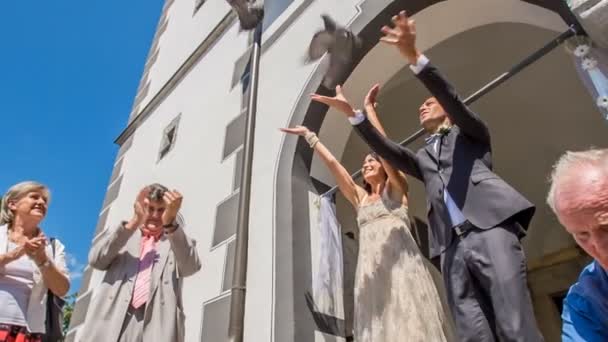 Domzale Eslovénia Julho 2018 Casal Está Deixando Dois Belos Pombos — Vídeo de Stock