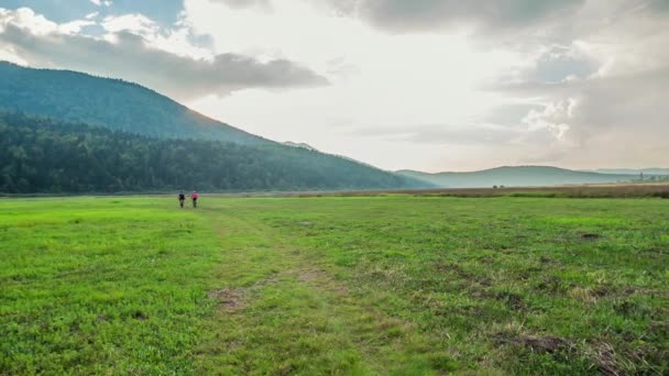 两个人在一片绿色的大草地上走得很远 大自然是绝对美丽的 — 图库视频影像