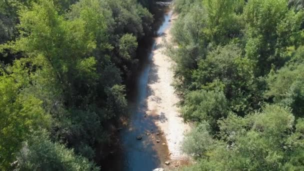 Pequeno Rio Flui Entre Árvores Washerwomen Vêm Lavar Roupas Todos — Vídeo de Stock