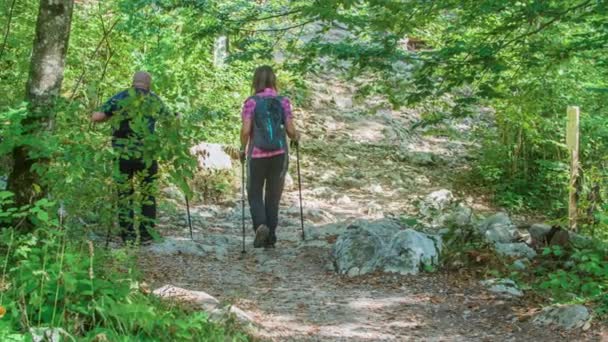 Ein Paar Wandert Mit Seinen Wanderstöcken Bergauf Der Tag Ist — Stockvideo
