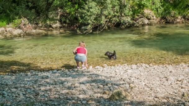 Beautiful Dog Having Fun Swimming Water Young Woman Kneels Touching — Stock Video