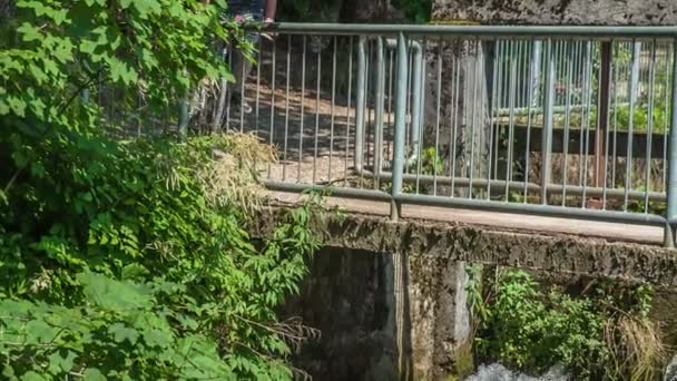 Beeldmateriaal Van Volwassen Man Rijden Fiets Natuur — Stockvideo