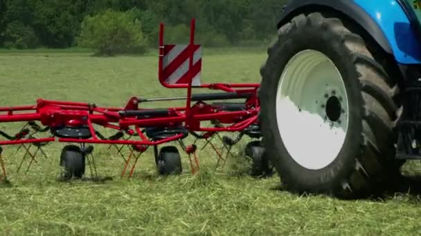 Egy Nagy Kék Traktor Kanyarodik Széna Repked Mindenfelé Amikor Forgó — Stock videók