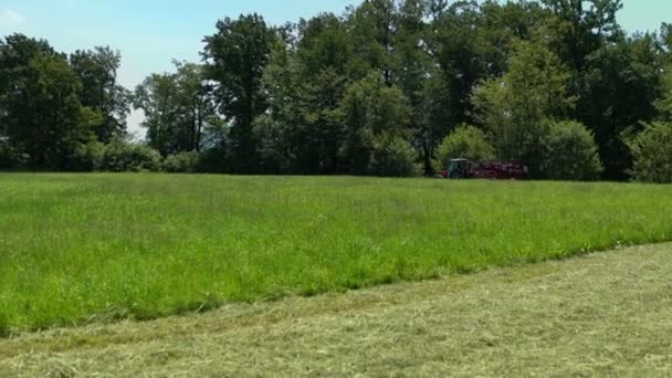 Nous Pouvons Voir Belles Herbes Vertes Qui Ont Pas Encore — Video