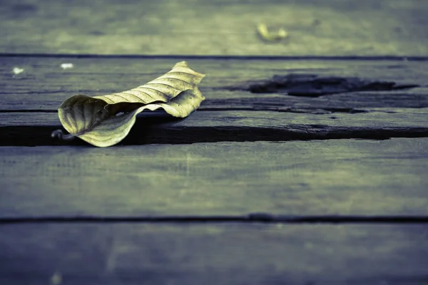 Dried Leaves Old Wooden Boards Wood Background Graphic — Stock Photo, Image