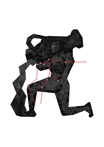 물병자리 점성술 동물 디지털 실루엣. 동물 별들은 디자인, 프린트 또는 배경을 위해 검은 배경에 분리 된 그래픽을 별자리별로 표시한다. 붉은 별 이 있는 우주의 형체의 수정 성좌. — 스톡 사진