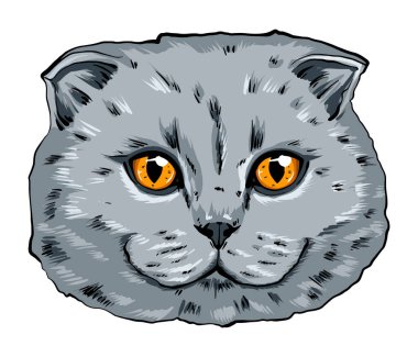 Kedi ağızlığının renkli bir portresi. kedi portresi güzel gözler minimalist grafik illüstrasyon. Elle çizilmiş bir kedi portresi. Safkan bir evcil hayvanın kedi kabarık portresi. İngiliz kedisi