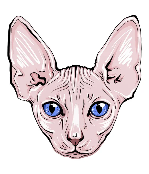 Färgglada Porträtt Katt Munkorg Katt Porträtt Vackra Ögon Minimalistisk Grafisk — Stock vektor