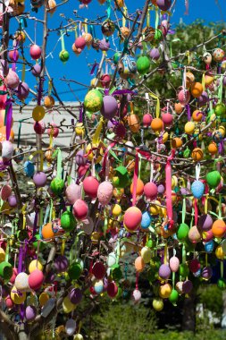 Paskalya yumurtaları süslenen ağacı üzerinde