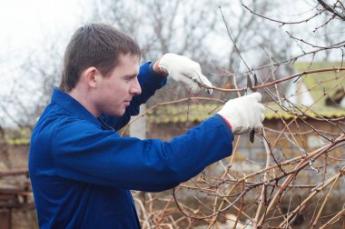 Genç adam budama dalı