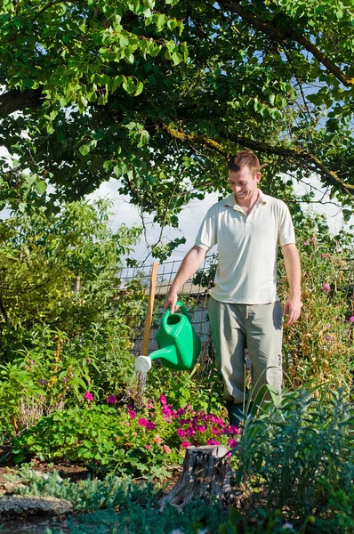 Молодой человек садовник полива цветов в саду — стоковое фото