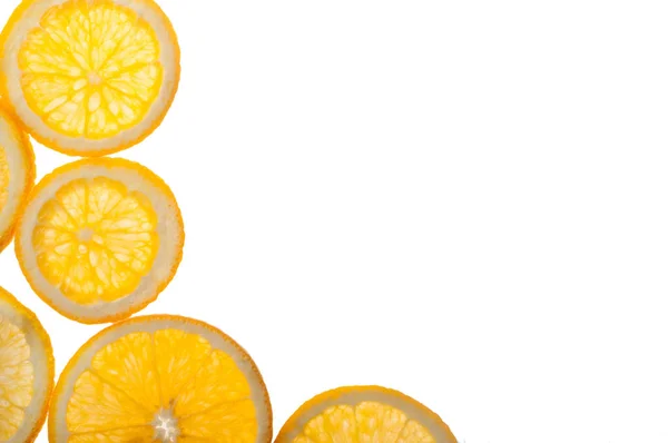 Citrus orange slices isolated — стоковое фото