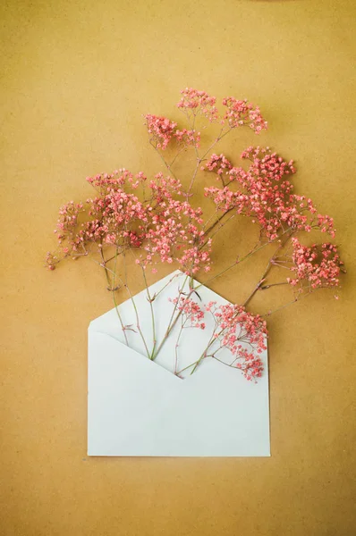 Postal envelope with pink gypsophila flowers inside