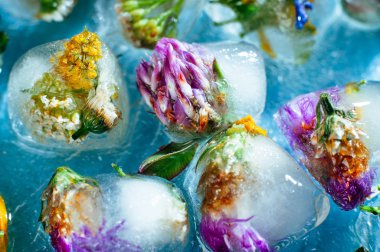 Mavi zemin üzerinde kalp şeklinde buz küpleri olan kır çiçekleri.