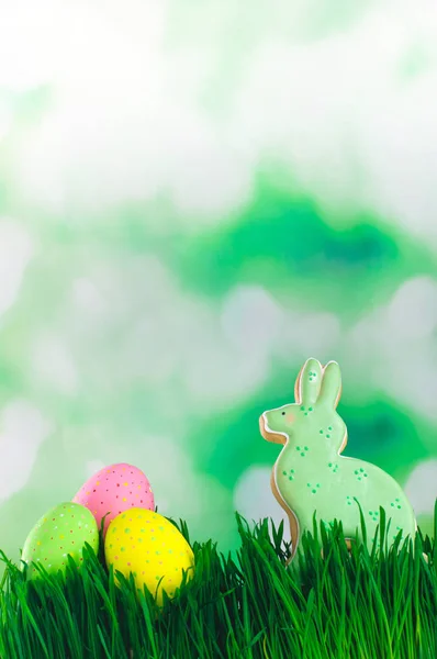 Osterhasen-Plätzchen und bemalte Eier im Gras — Stockfoto